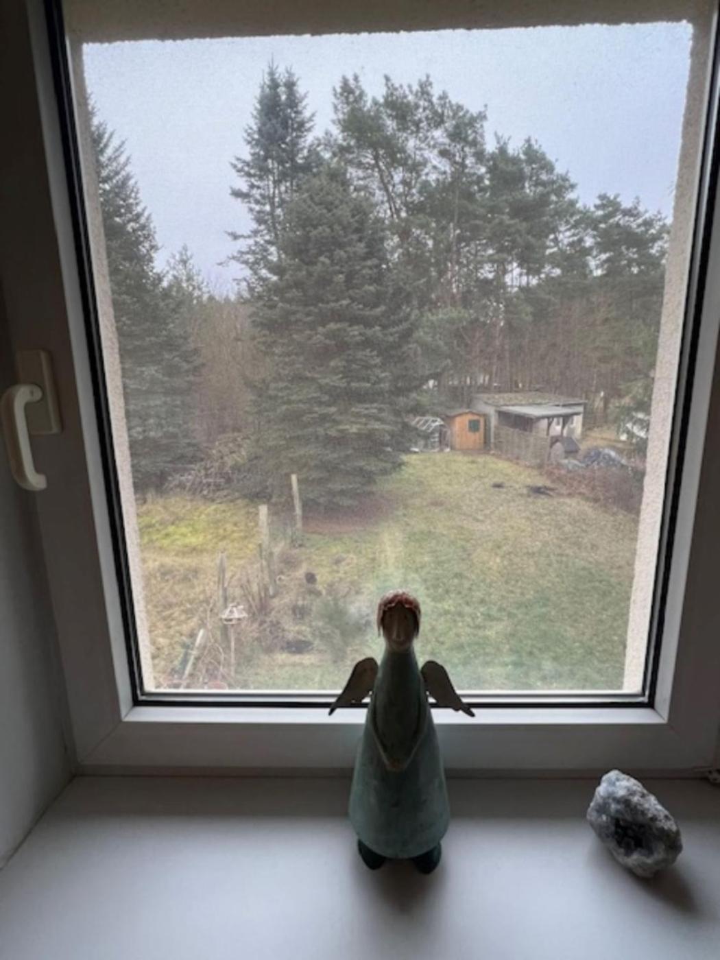 שורפהייד Ferienappartements Am See מראה חיצוני תמונה